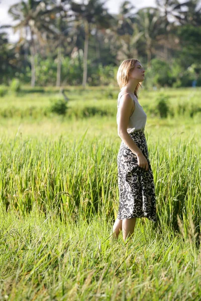 Outdoor Modeportret Van Jonge Vrouw Het Rijstveld Het Tropische Eiland — Stockfoto