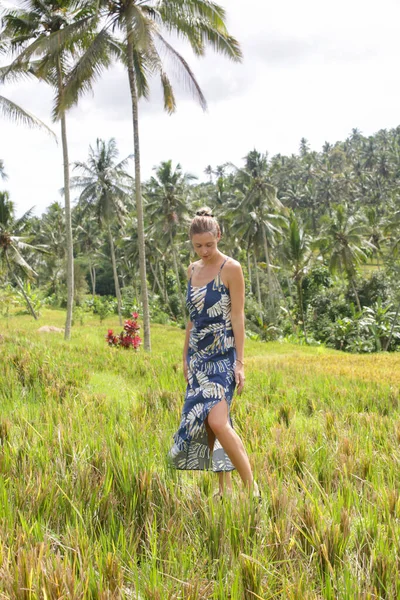 Venkovní Módní Portrét Mladé Ženy Rýžovém Poli Tropickém Ostrově Krásnými — Stock fotografie
