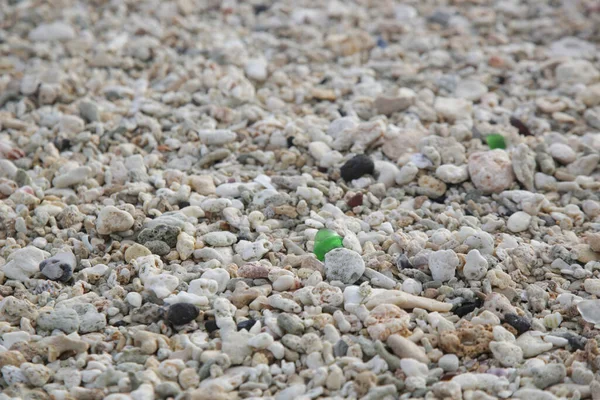 Prachtig Stukje Groen Zeeglas Tussen Kiezels Het Strand Sluiten — Stockfoto