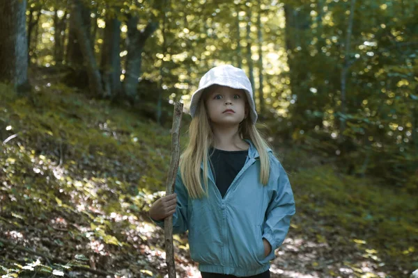 Очаровательная Маленькая Девочка Гуляющая Лесу Проводящая Время Природе Природе — стоковое фото