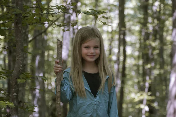 Adorável Menina Caminhando Floresta Passando Tempo Natureza Experiência Livre Campo — Fotografia de Stock
