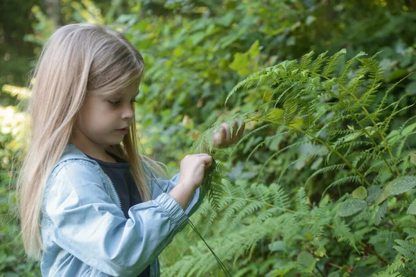 自然を探検するかわいい少女 屋外で遊んでいる子供 — ストック写真