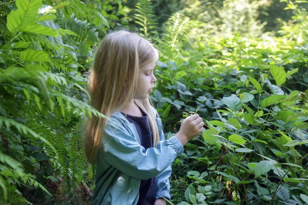 Милая Маленькая Девочка Изучающая Природу Дети Играют Открытом Воздухе — стоковое фото
