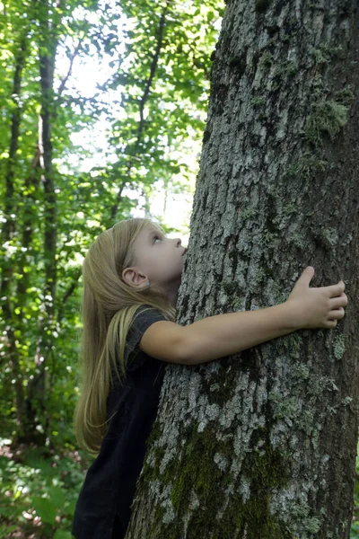 Cute little girl hugging tree. Hugging and touching trees provide rich sensory experience for children, reduce stress, improve immunity, lower blood pressure, accelerate recovery from trauma