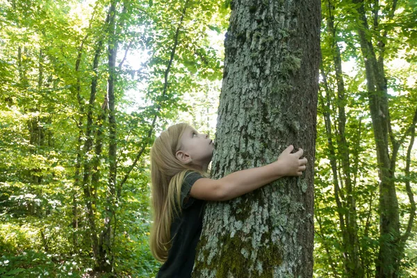 Милая Маленькая Девочка Обнимающая Дерево Обнимающие Трогательные Деревья Обеспечивают Детям — стоковое фото