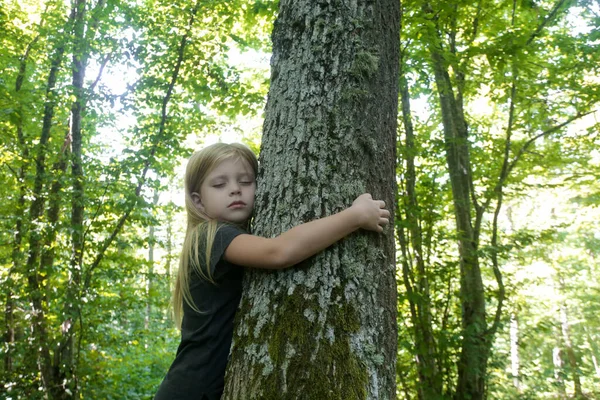Милая Маленькая Девочка Обнимающая Дерево Обнимающие Трогательные Деревья Обеспечивают Детям — стоковое фото