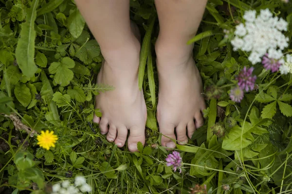 Παιδικά Πόδια Στο Πράσινο Γρασίδι Ξυπόλυτο Κοριτσάκι Στο Λιβάδι Τον — Φωτογραφία Αρχείου