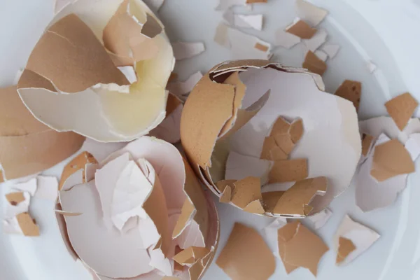 Stack Broken Dry Eggshells — Stock Photo, Image