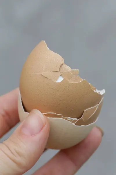 Στοίβα Από Σπασμένα Και Ξηρά Κελύφη Αυγών — Φωτογραφία Αρχείου
