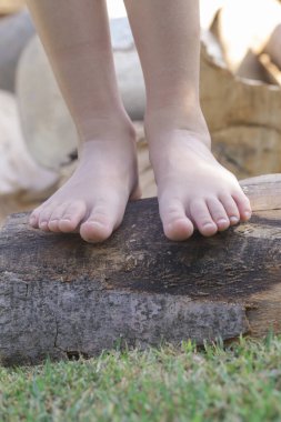 Ağaç gövdesinde çocuk ayakları, ağaç gövdesinde yalın ayak küçük kız, kırsal yaşam tarzı, topraklama ve doğayla bağlantı kavramı.