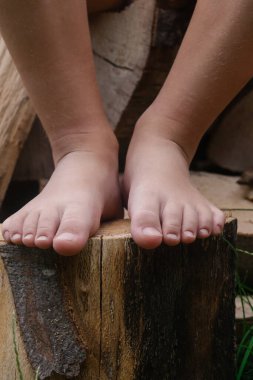 Ağaç gövdesinde çocuk ayakları, ağaç gövdesinde yalın ayak küçük kız, kırsal yaşam tarzı, topraklama ve doğayla bağlantı kavramı.