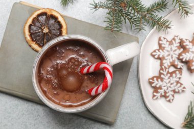 Sıcak kış yaşam tarzı konsepti. Bir bardak sıcak içecek, kaliteli kitap ve lezzetli ev yapımı zencefilli kurabiye..