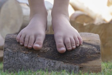 Ağaç gövdesinde çocuk ayakları, ağaç gövdesinde yalın ayak küçük kız, kırsal yaşam tarzı, topraklama ve doğayla bağlantı kavramı.