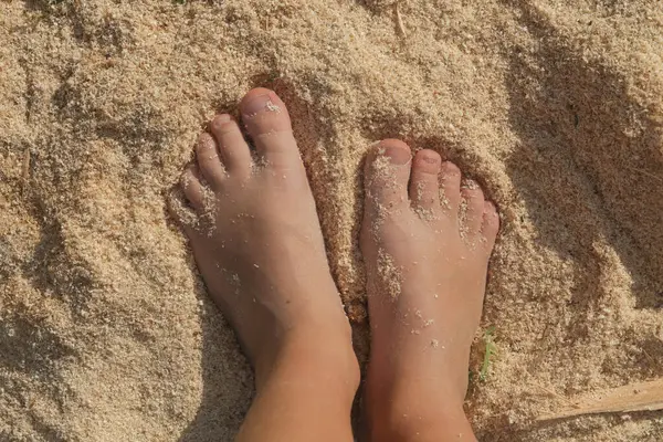 Child\'s feet standing on sawdust. Sensory perception, sensitivity and flat feet problem in children