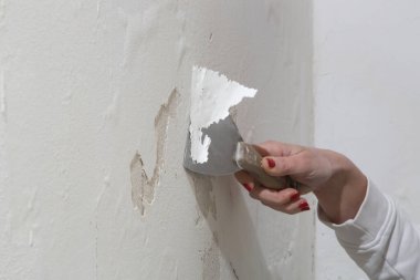 Duvardaki güherçile sorunu. Kadın, sağlam bir yüzeye ulaşana kadar kötü durumdaki boya ve alçıyı kazıyıp çıkarmak için kazıyıcı kullanıyor.. 