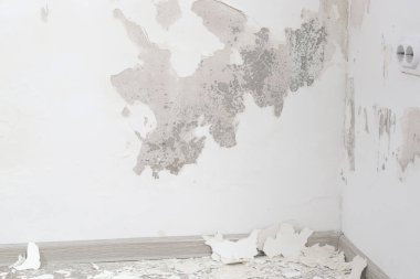 Duvarda güherçile, duvarda su sızıntısı lekesi var. Yapı malzemelerinde bulunan potasyum nitrat oksijenle temas eder ve duvarda aşırı nem yaratır..