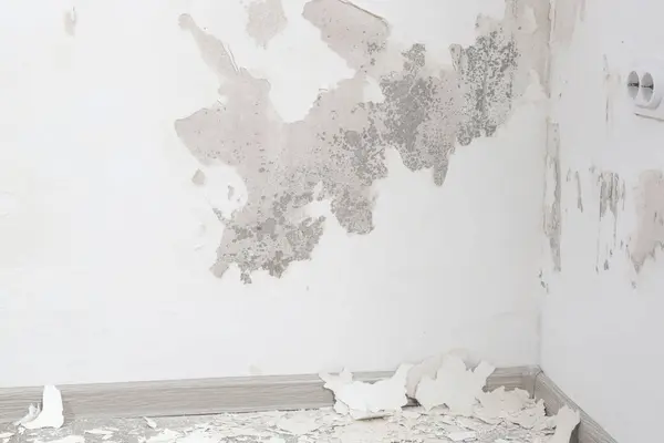 墙体上有盐 墙体上有水浸渍 建筑材料中存在的硝酸钾与氧气接触 在墙上产生多余的水分 免版税图库图片