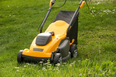 Bahçedeki yeşil çimlerin üzerinde sarı çim biçme makinesi