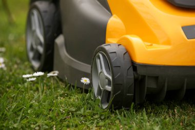 Bahçedeki yeşil çimlerin üzerinde sarı çim biçme makinesi