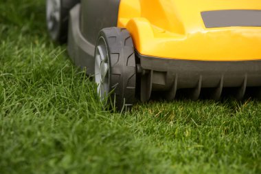 Bahçedeki yeşil çimlerin üzerinde sarı çim biçme makinesi