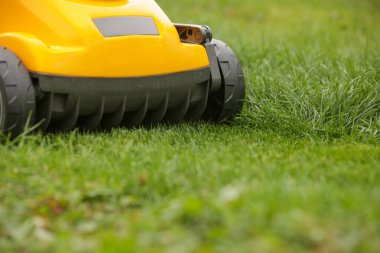 Bahçedeki yeşil çimlerin üzerinde sarı çim biçme makinesi