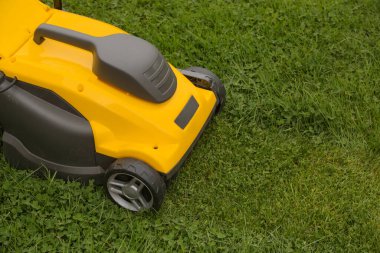 Bahçedeki yeşil çimlerin üzerinde sarı çim biçme makinesi