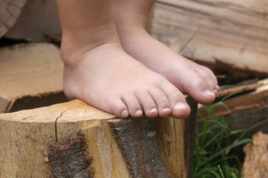 Ağaç gövdesinde çocuk ayakları, ağaç gövdesinde yalın ayak küçük kız, kırsal yaşam tarzı, topraklama ve doğayla bağlantı kavramı.