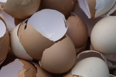 Kırık ve kuru yumurta kabukları yığını