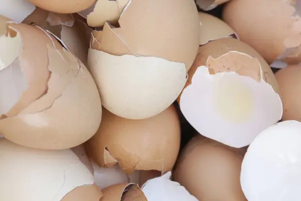 Setumpuk Kulit Telur Yang Rusak Dan Kering Stok Foto