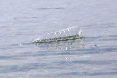 Okyanusta plastik bir şişe. Plastik kirliliği kavramı. Tek kullanımlık plastik gezegenimizi yok eden ve sularımızı, deniz yaşamlarımızı ve insanlarımızı etkileyen bir insan bağımlılığıdır..