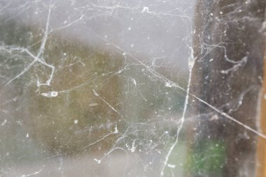 Terk edilmiş evdeki pencerede çamur ve örümcek ağı