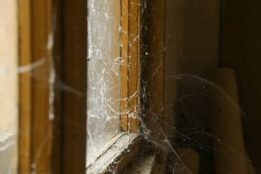 Terk edilmiş evdeki pencerede çamur ve örümcek ağı
