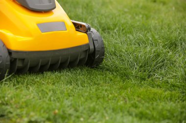 Bahçedeki yeşil çimlerin üzerinde sarı çim biçme makinesi