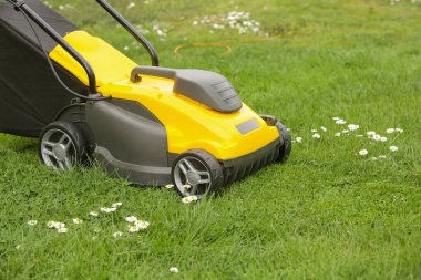 Bahçedeki yeşil çimlerin üzerinde sarı çim biçme makinesi