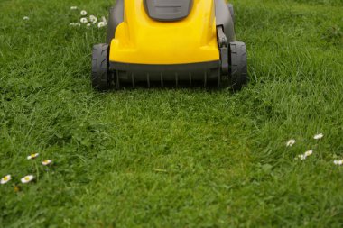 Bahçedeki yeşil çimlerin üzerinde sarı çim biçme makinesi