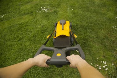 Bahçedeki yeşil çimlerin üzerinde sarı çim biçme makinesi