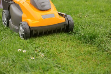Bahçedeki yeşil çimlerin üzerinde sarı çim biçme makinesi