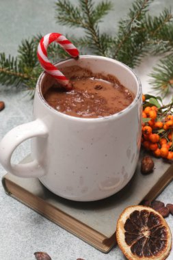 Sıcak kış yaşam tarzı konsepti. Bir bardak sıcak içecek, kaliteli kitap ve lezzetli ev yapımı zencefilli kurabiye..
