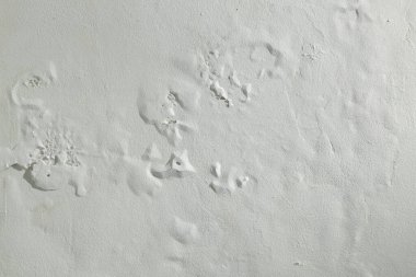 Duvardaki güherçile ya da küf, su sızıntısıyla lekelenmiş duvar kaplaması. Yapı malzemelerinde bulunan potasyum nitrat oksijenle temas eder ve duvarda aşırı nem yaratır..