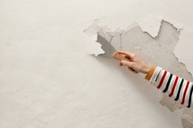 Duvardaki güherçile ya da küf sorunu. Kadın, sağlam bir yüzeye ulaşana kadar kötü durumdaki boya ve alçıyı kazıyıp çıkarmak için kazıyıcı kullanıyor..