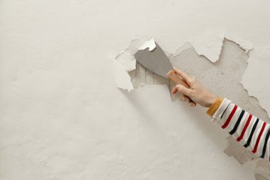 Duvardaki güherçile ya da küf sorunu. Kadın, sağlam bir yüzeye ulaşana kadar kötü durumdaki boya ve alçıyı kazıyıp çıkarmak için kazıyıcı kullanıyor..