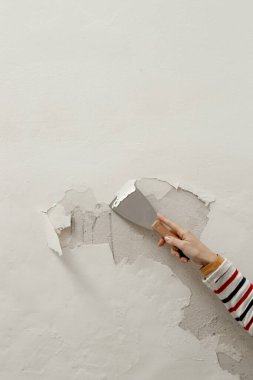 Duvardaki güherçile ya da küf sorunu. Kadın, sağlam bir yüzeye ulaşana kadar kötü durumdaki boya ve alçıyı kazıyıp çıkarmak için kazıyıcı kullanıyor..