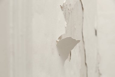 Duvardaki güherçile ya da küf, su sızıntısıyla lekelenmiş duvar kaplaması. Yapı malzemelerinde bulunan potasyum nitrat oksijenle temas eder ve duvarda aşırı nem yaratır..