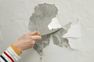 Duvardaki güherçile ya da küf sorunu. Kadın, sağlam bir yüzeye ulaşana kadar kötü durumdaki boya ve alçıyı kazıyıp çıkarmak için kazıyıcı kullanıyor..