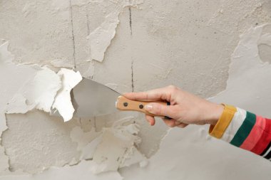 Duvardaki güherçile ya da küf sorunu. Kadın, sağlam bir yüzeye ulaşana kadar kötü durumdaki boya ve alçıyı kazıyıp çıkarmak için kazıyıcı kullanıyor..