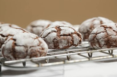 Kırsal, havalı, çikolatalı, pudra şekerli kurabiye.