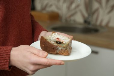 Tabakta küflü ekmek dilimi