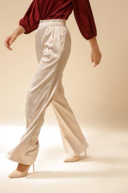 Serie of studio photos of young female model wearing simple silk satin  beautiful outfit, burgundy blouse and beige wide leg trousers. clipart