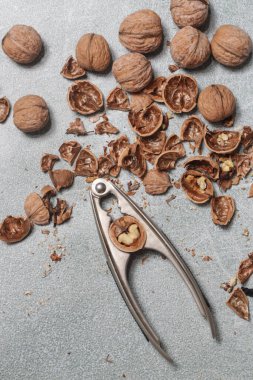 Ceviz ve fındıkkıran