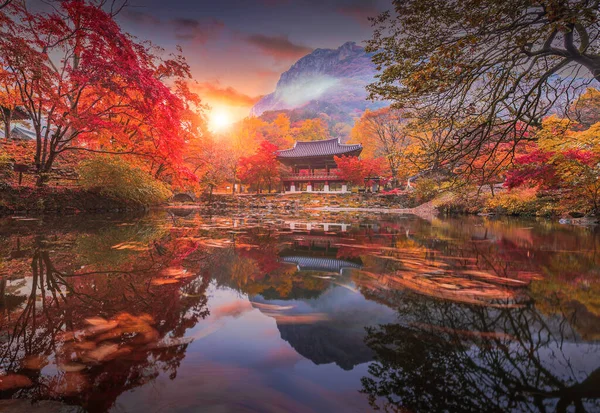 Naejangsan national park , Autumn in Korea and maple tree in the park, South Korea.